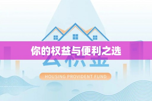 泉港你的权益与便利之选
