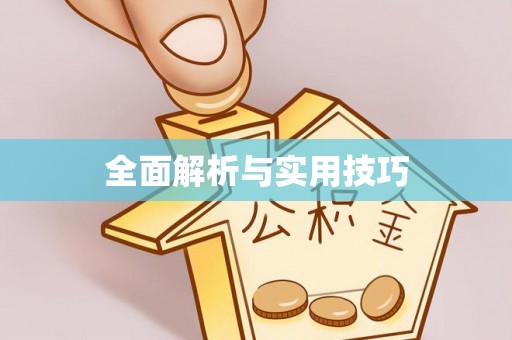 泉港全面解析与实用技巧