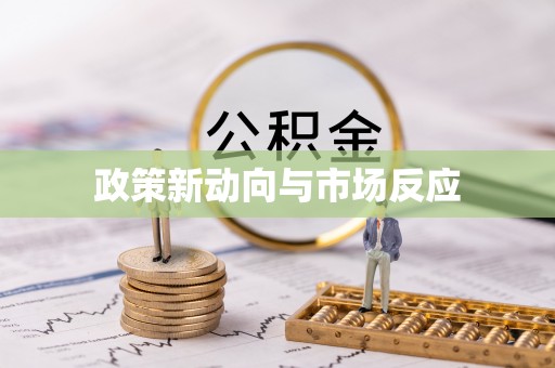 泉港政策新动向与市场反应