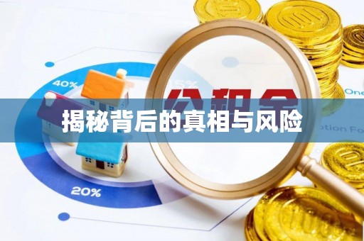 泉港揭秘背后的真相与风险