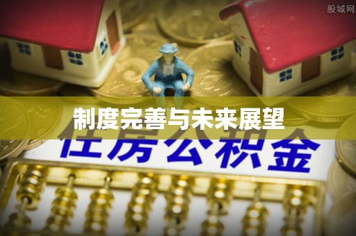 泉港制度完善与未来展望