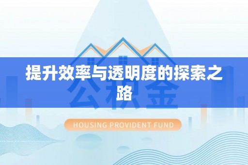 泉港提升效率与透明度的探索之路