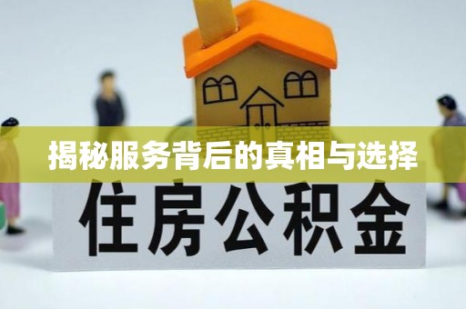 泉港揭秘服务背后的真相与选择