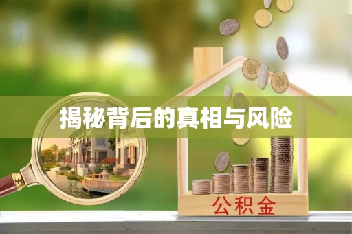 泉港揭秘背后的真相与风险
