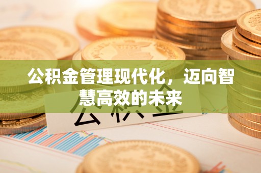 泉港公积金管理现代化，迈向智慧高效的未来