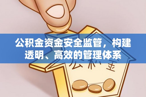 泉港公积金资金安全监管，构建透明、高效的管理体系