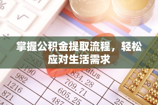 泉港掌握公积金提取流程，轻松应对生活需求