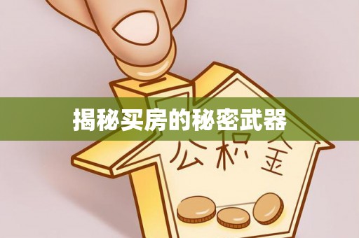 泉港揭秘买房的秘密武器