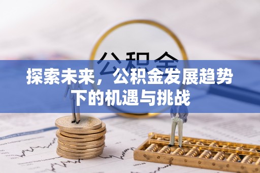 泉港探索未来，公积金发展趋势下的机遇与挑战