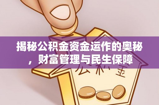 泉港揭秘公积金资金运作的奥秘，财富管理与民生保障