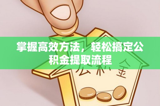 泉港掌握高效方法，轻松搞定公积金提取流程