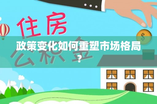 泉港政策变化如何重塑市场格局？