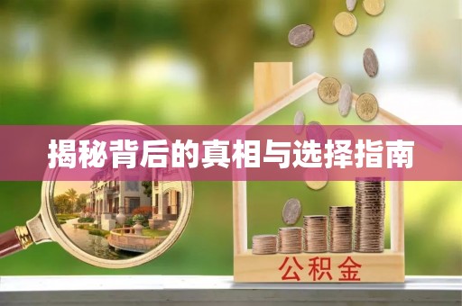 泉港揭秘背后的真相与选择指南