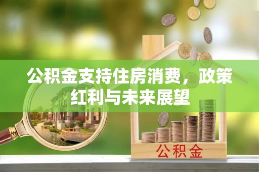 泉港公积金支持住房消费，政策红利与未来展望