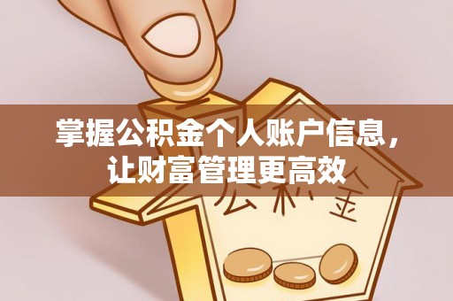 泉港掌握公积金个人账户信息，让财富管理更高效