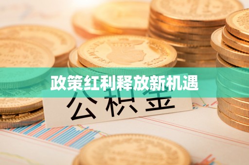 泉港政策红利释放新机遇
