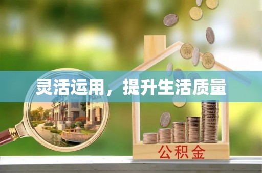 泉港灵活运用，提升生活质量