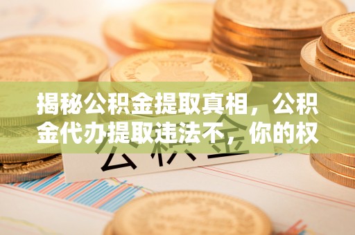 泉港揭秘公积金提取真相，公积金代办提取违法不，你的权益如何保障？