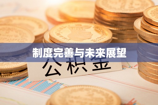 泉港制度完善与未来展望