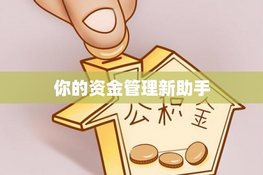 泉港你的资金管理新助手