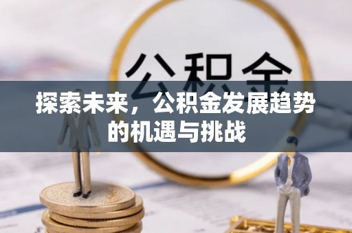 泉港探索未来，公积金发展趋势的机遇与挑战
