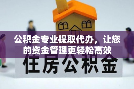 泉港公积金专业提取代办，让您的资金管理更轻松高效
