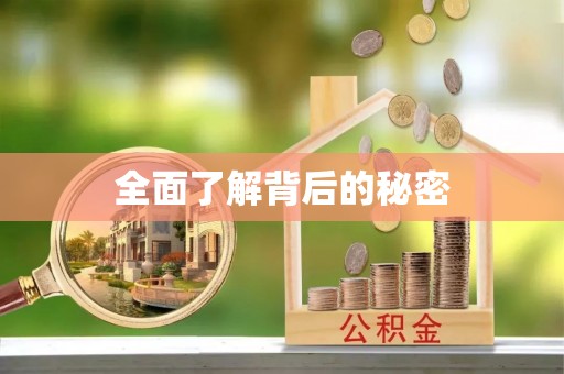 泉港全面了解背后的秘密