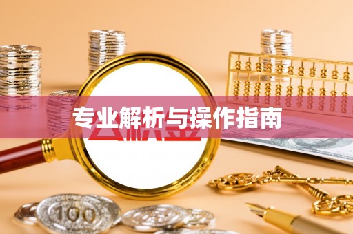 泉港专业解析与操作指南