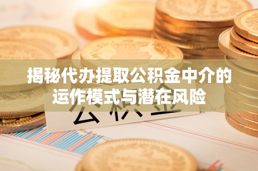泉港揭秘代办提取公积金中介的运作模式与潜在风险