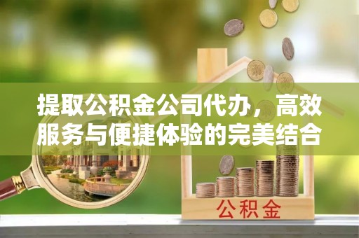 泉港提取公积金公司代办，高效服务与便捷体验的完美结合