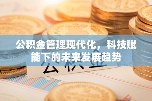泉港公积金管理现代化，科技赋能下的未来发展趋势