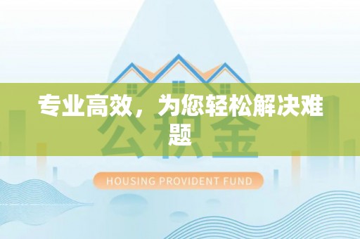泉港专业高效，为您轻松解决难题