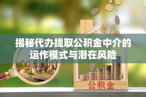 泉港揭秘代办提取公积金中介的运作模式与潜在风险