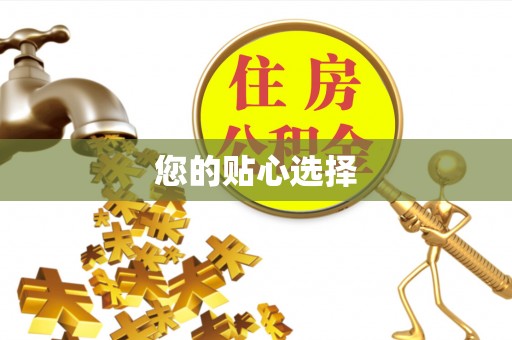 泉港您的贴心选择