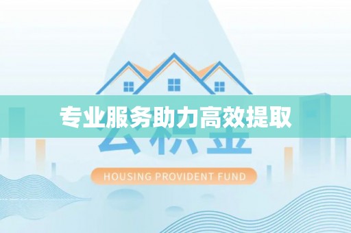 泉港专业服务助力高效提取