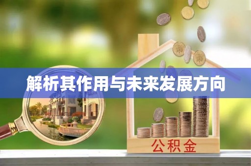 泉港解析其作用与未来发展方向