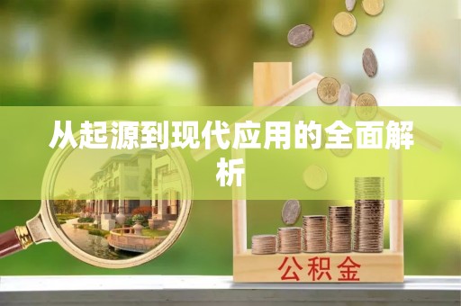 泉港从起源到现代应用的全面解析