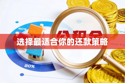 泉港选择最适合你的还款策略
