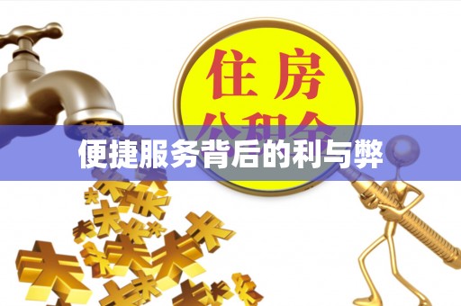 泉港便捷服务背后的利与弊