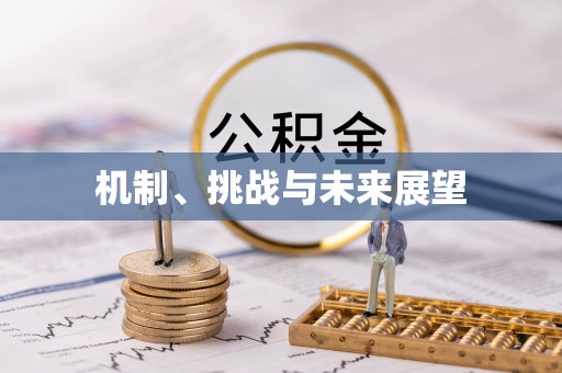 泉港机制、挑战与未来展望